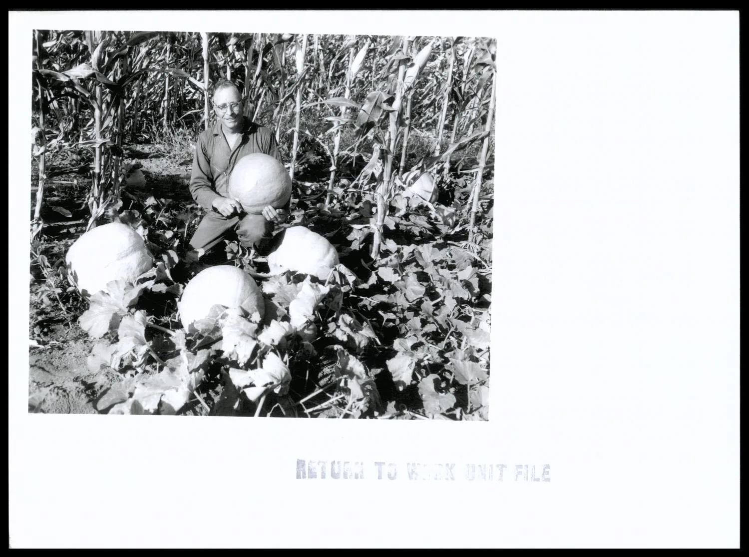 Photograph of Sam Holmberg with pumpkins (corn in background) grown on his farm. Pumpkin crop goes to Erick Band Mothers for purchase of band uniforms. Last year pumpkin crop of 1/4 ac. Produced $185. 00 for Holmberg son's senior class which was used for Holmberg son's Senior Class which was used for trip to Washington. Holmberg is 1959 Father of the Year in Oklahoma as well as being a supervisor in the North Fork of Red River SCD. Holmberg is an excellent conservation farmer on his 640 acre farm.